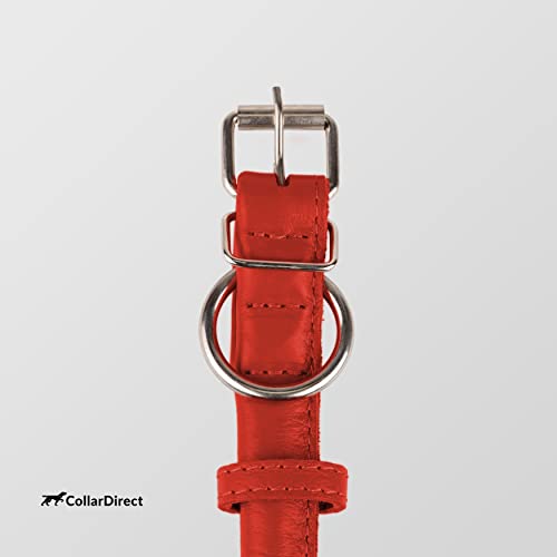 Tangle Free Rolled Leather Dog Collar
