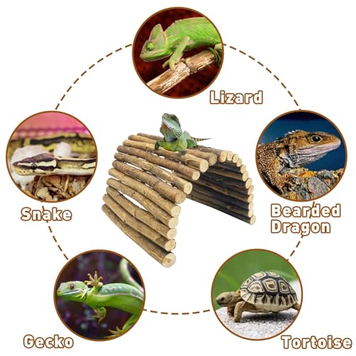 18.89"x 12.99" Reptile Hideout Wooden Bridge Lizard Hide Caves Bearded Dragon Habitat Accessories for Gecko Snake Frog Chameleon Iguana Tortoise