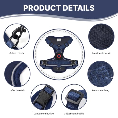 Cat Harness Leash Set with AirTag Holder (Blue for Airtag / L)