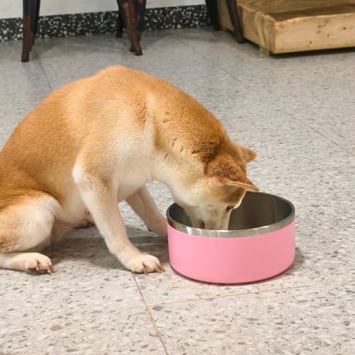 Stainless Steel Dog Bowls (Large / pink)