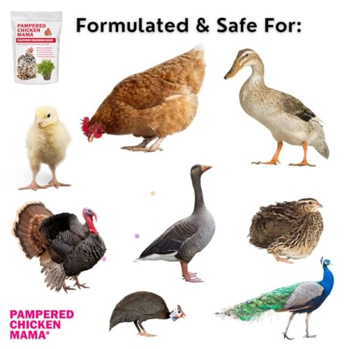 Molting Supplement for Chickens (1 Count (Pack of 1))