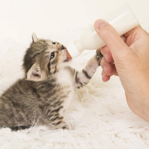 Pet Feeding Bottle Set (1 Bottle+3 Nipples+2 Syringes + 1 measuring cup)