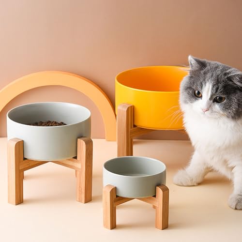 Grey Elevated (Grey / 1.7 Cups - Small)