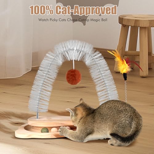 Cat Self Groomer