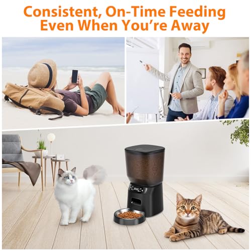 Automatic Cat Feeder