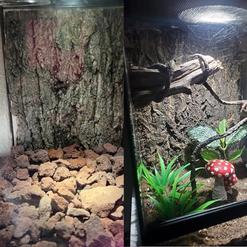 2PCS Cork Terrarium Background (2Pcs-11.8”x7.9”)