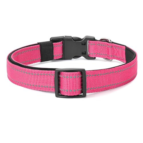 Reflective Dog Collar (Hop Pink / XS:width 5/8"neck 8-10.5")