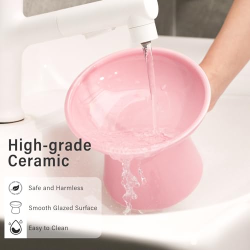 2 Pack Elevated Ceramic Cat Bowls Extra Wide for Food & Water (Pink)