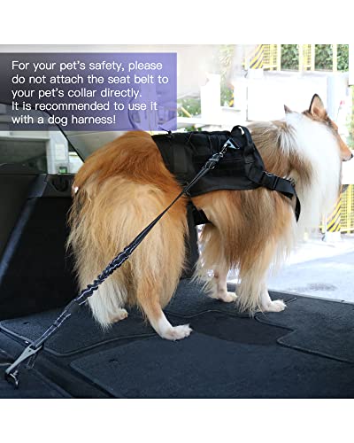 Dog Seat Belt for Car (Black)