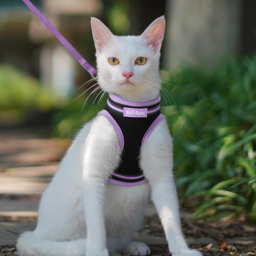 Cat Harness and Leash Set (S / Black-Light Purple)