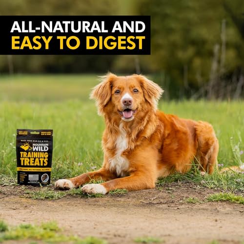 Training Treats for Dogs (4 Ounce (Pack of 1))