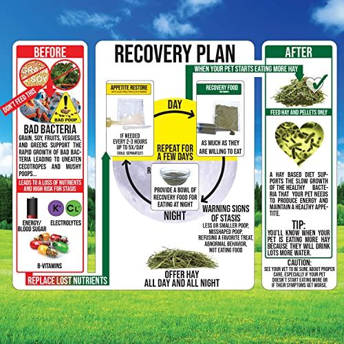 Rabbit Emergency kit and Bulk Recovery Food (6.35 Ounce (Pack of 1))