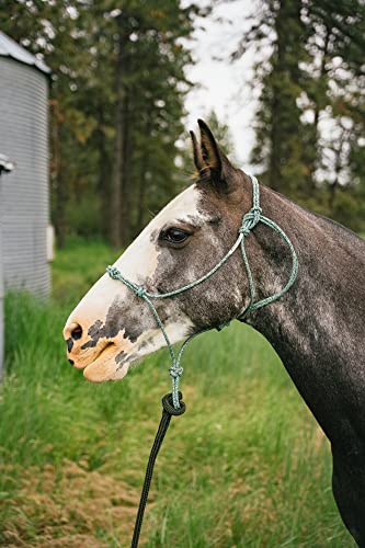 Horse Rope Training Halter (Pink / Mule)
