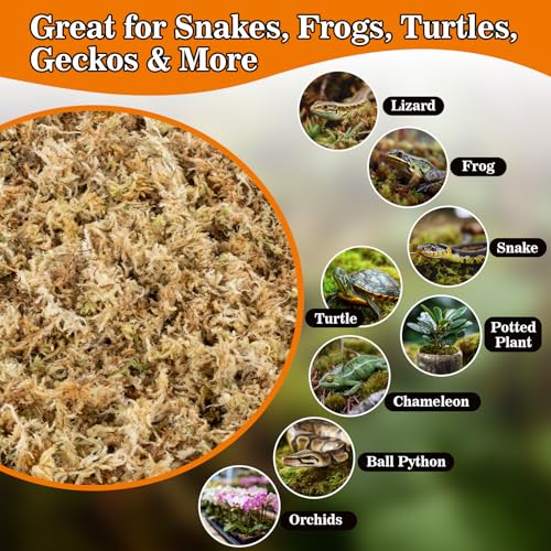 Sphagnum Moss for Reptiles & Plants (3.5 Ounces / Yellow Green)