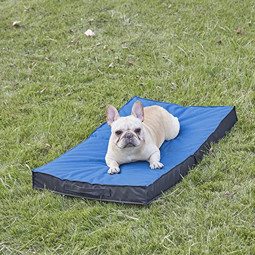 Outdoor Dog Bed (X-Large / Navy Blue)
