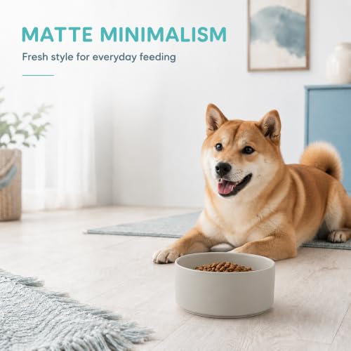 Ceramic Dog Bowls (Matte Gray)