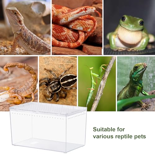 Tarantula Enclosure Spider Terrarium Hermit Crab Tank Starter Kit (M-Starter Kit)