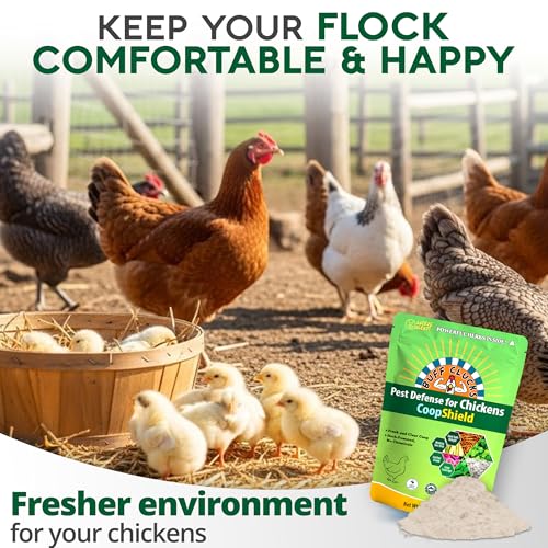 Dust Bath for Chicken Nesting Herbs Blend Coop Floor (12 Ounce (Pack of 1))