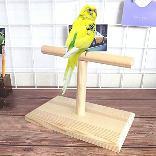 Bird Training Stand