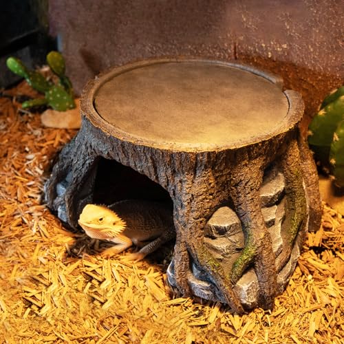 Bearded Dragon Basking Platform (Extra Large)