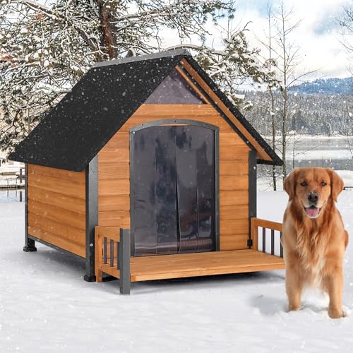 Outdoor Dog House with All