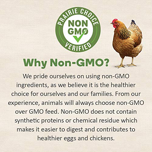 Non GMO Backyard Chicken Feed