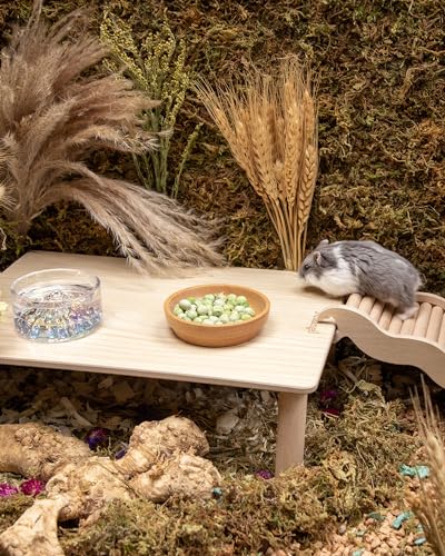 Hamster Snack & Treats Toy