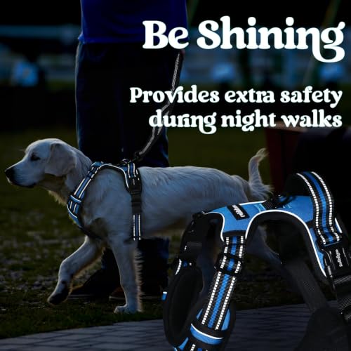Dog Harness for Large (Large / Sky Blue)