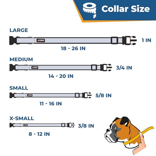 Dog Collar with Personalized Nameplate (Classic / Large (Pack of 1))