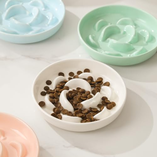 Ceramic Slow Feeder Cat Bowl (White / 1.2"H Standard)
