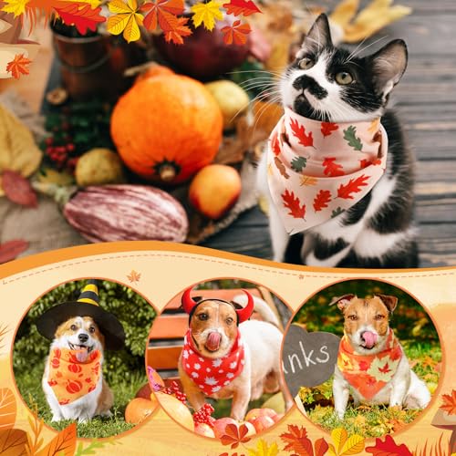 100 Pcs Fall Thanksgiving Dog Bandanas Bulk for Small Medium Large (Fall / 25.6 x 17.7 x 17.7 Inch)
