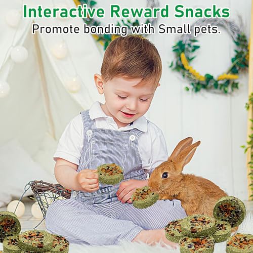 24 PCS Rabbit Chew Toys