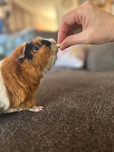 Digestive Support