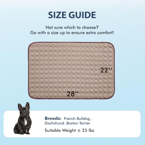 Summer Cooling Mat & Sleeping Pad (28" x 22" / Brown)