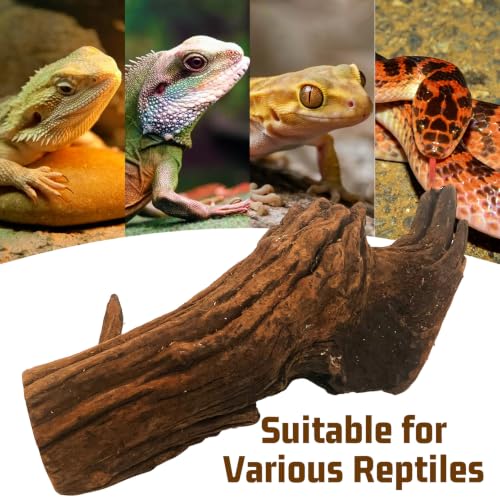 Bearded Dragon Driftwood for Reptile