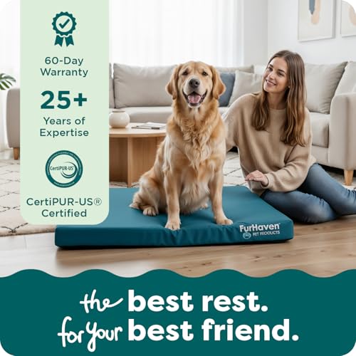 Water Resistant Orthopedic Dog Bed for Large Dogs (Jumbo / Stone Gray)