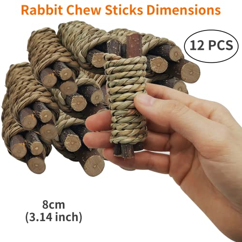 12 PCS Guinea Pigs Chew Toys