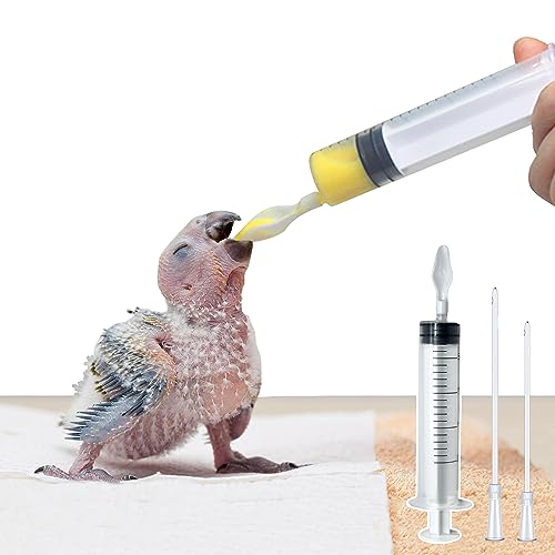 Baby Bird Feeding Syringe (White)