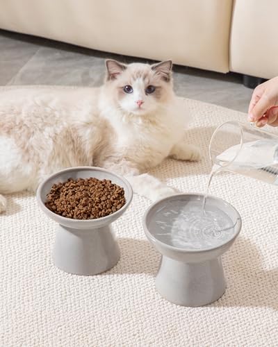 2 Pack Extra Wide Elevated Cat Bowls (Grey)