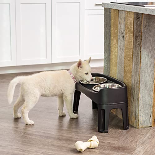 Elevated Dog Bowls (Black)