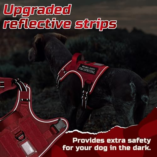 Tactical Dog Harness for Small (Red / Small)