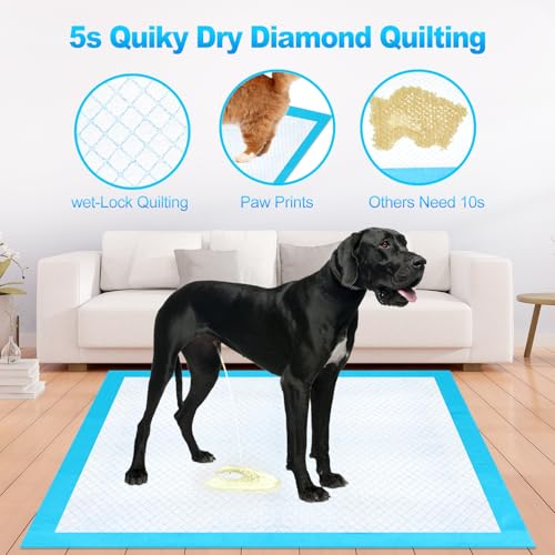 Pee Pads for Dogs & Cats 40"x40" 40 Count (40"x40")
