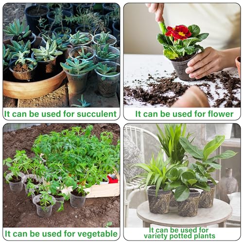 4 Inch Seed Starter Tray for Vegetable Herb Lettuce Seeds (4 Inch-60Pack)