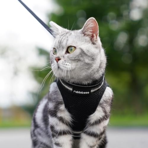 Cat Harness and Leash Set (M / Black)
