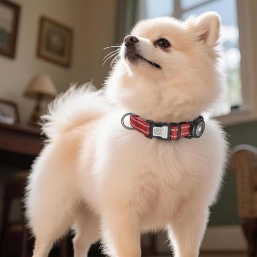 Airtag Dog Collar (Z: Red / M: with Airtag Holder)