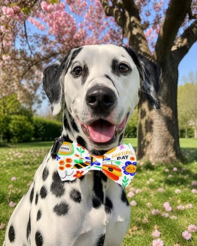 10 Pack Holiday Dog Bowties for Large Dogs Sliding on Collar (M/L)