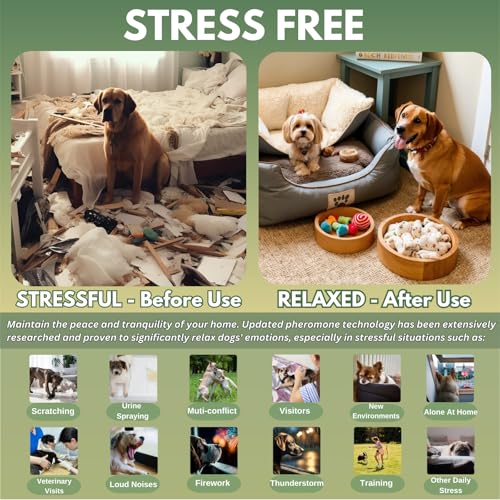Dog Pheromone Calming Diffuser Kit (6 packs - Duck Diffuser)
