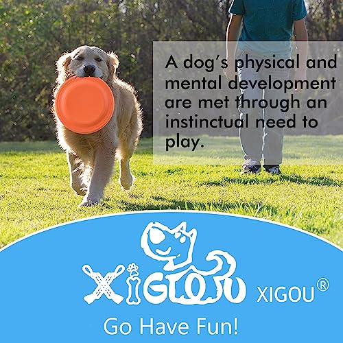 Dog Flying Disc (Durable Blue & Or)