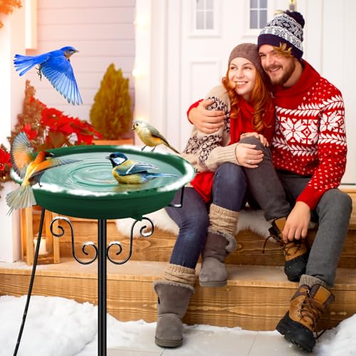 Heated Bird Bath for Outdoors Winter (Green)