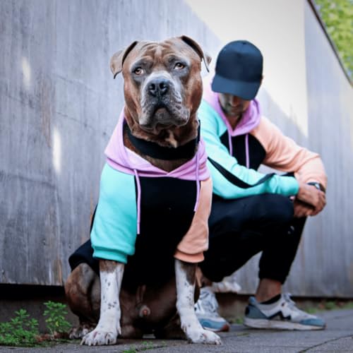 Dog Hoodie Buttery (Cyber Punk / X-Large)